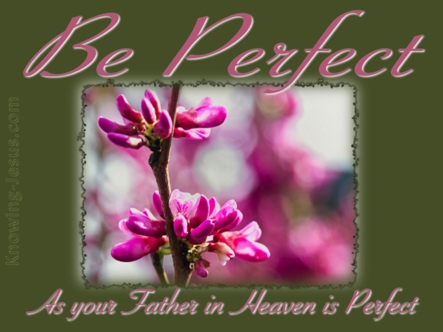 Matthew 5:48 Be Perfect (pink)